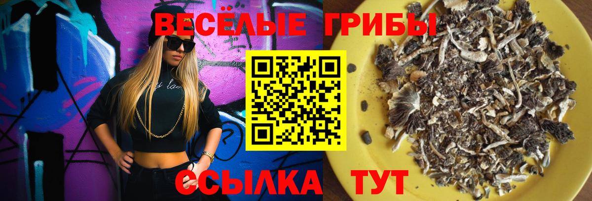 Галлюциногенные грибы мухоморы Верхняя Салда